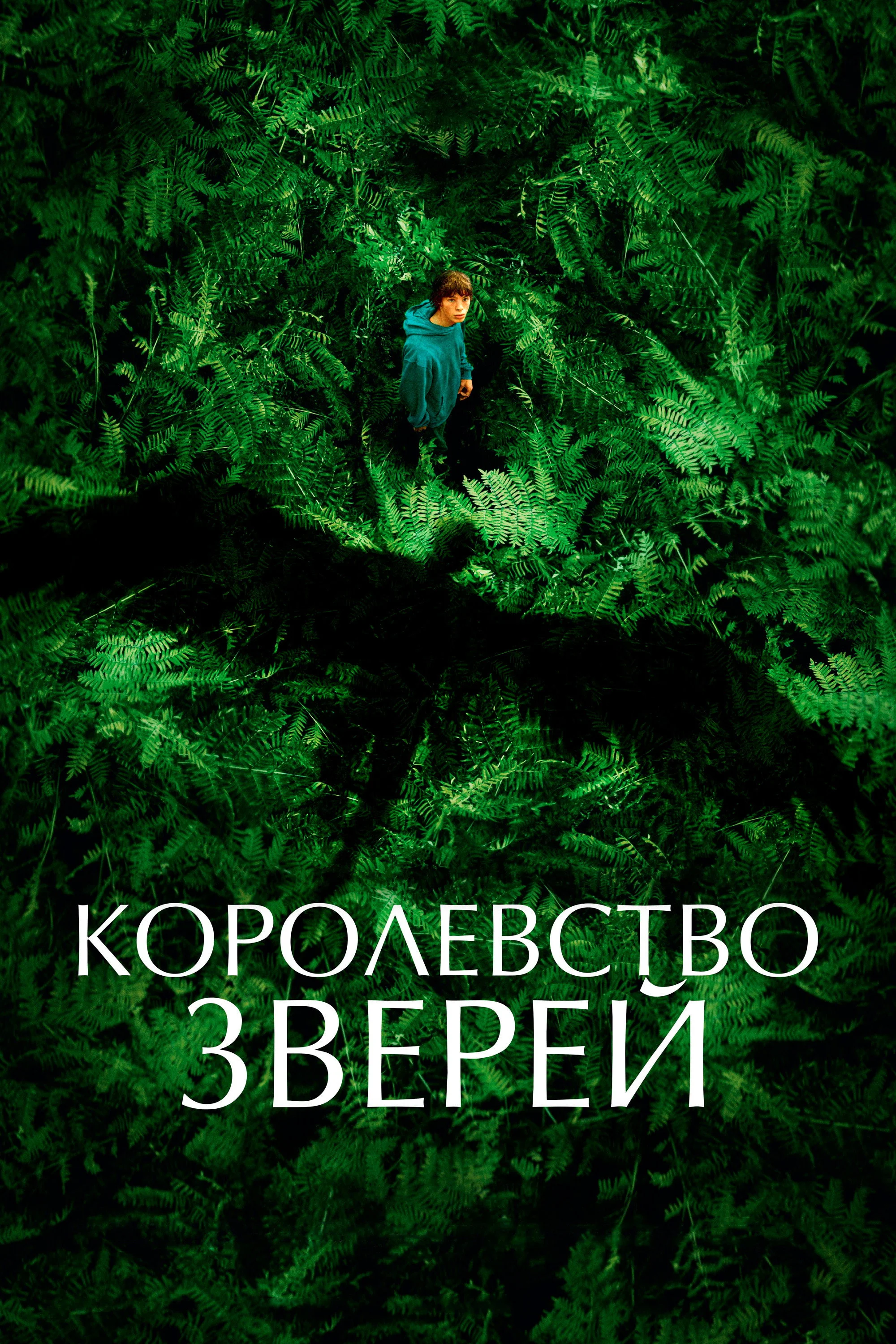 Hayvonlar saltanati posteri