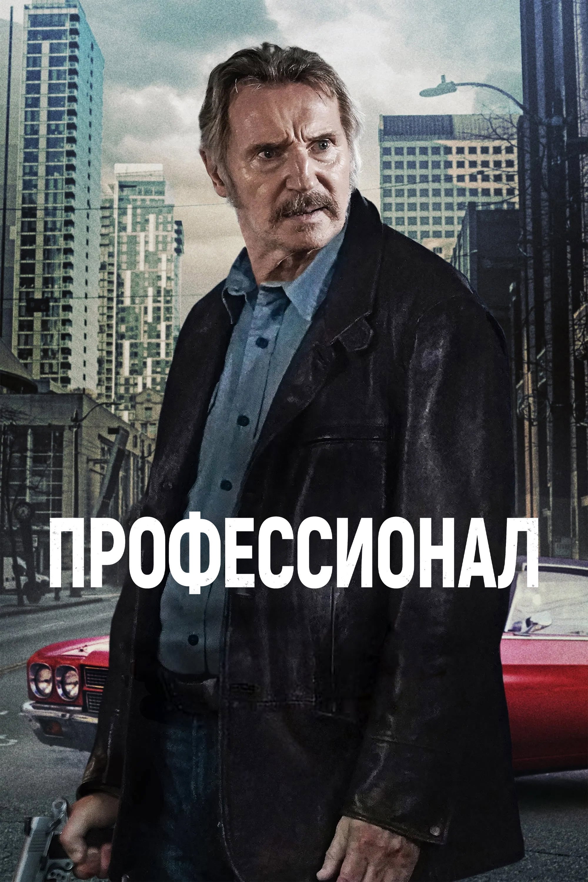 Постер: Профессионал
